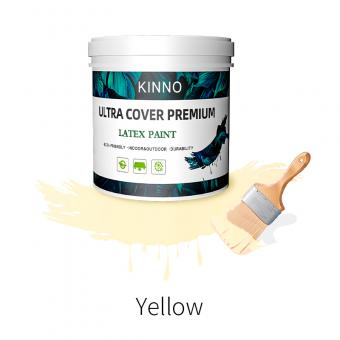 Nontoxic Water-based Paint